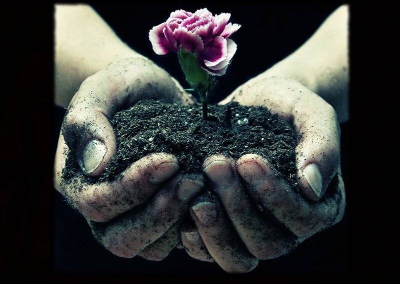 Hands Holding Flower — Black, Dramatic