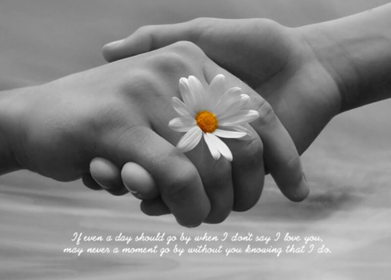 Hands Holding Flower — Black