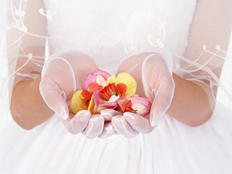 hands holding flower petals