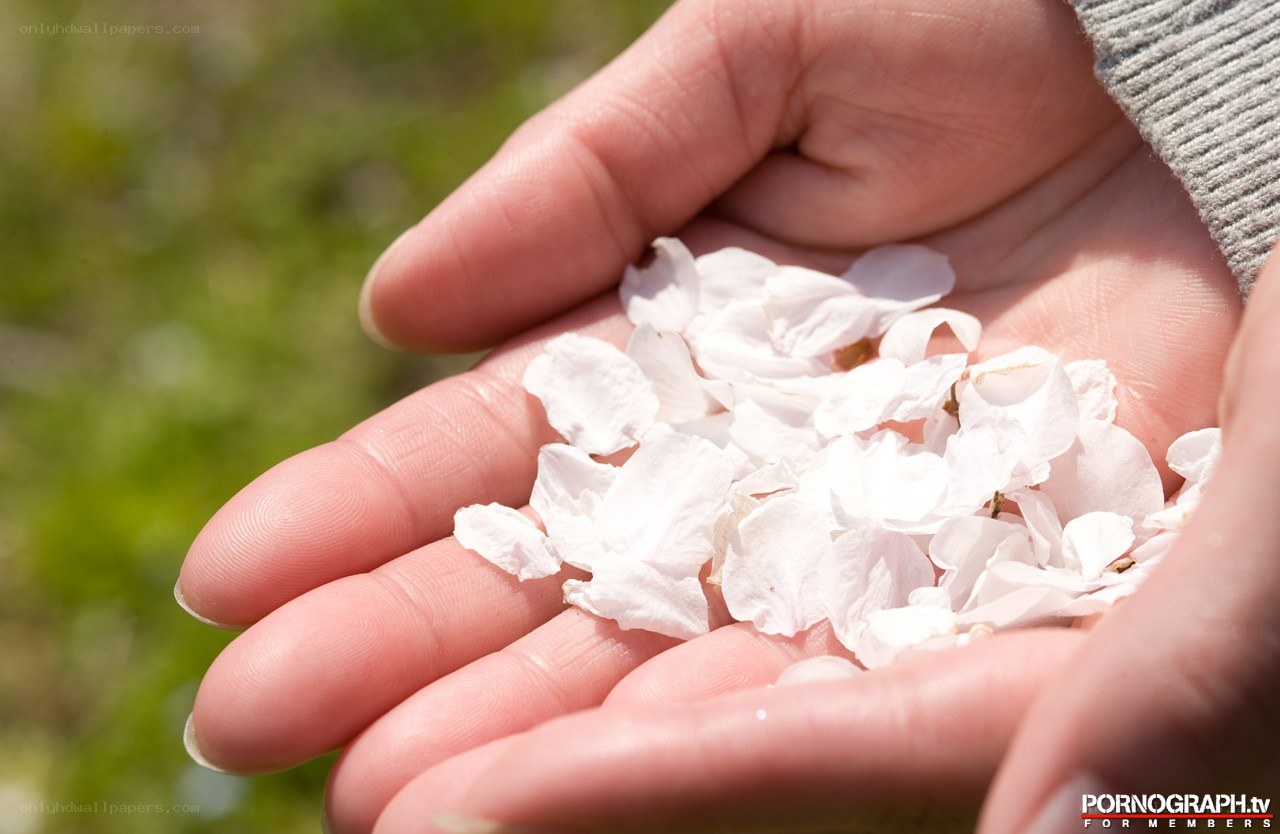 hands holding flower petals