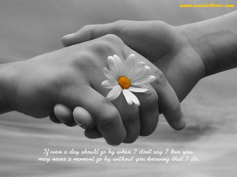hands holding flower