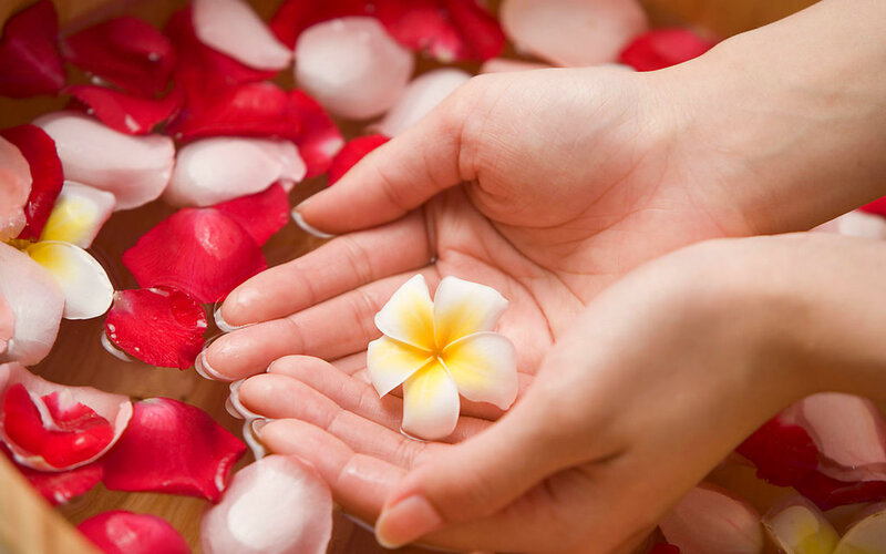 Hands Holding Flower — White