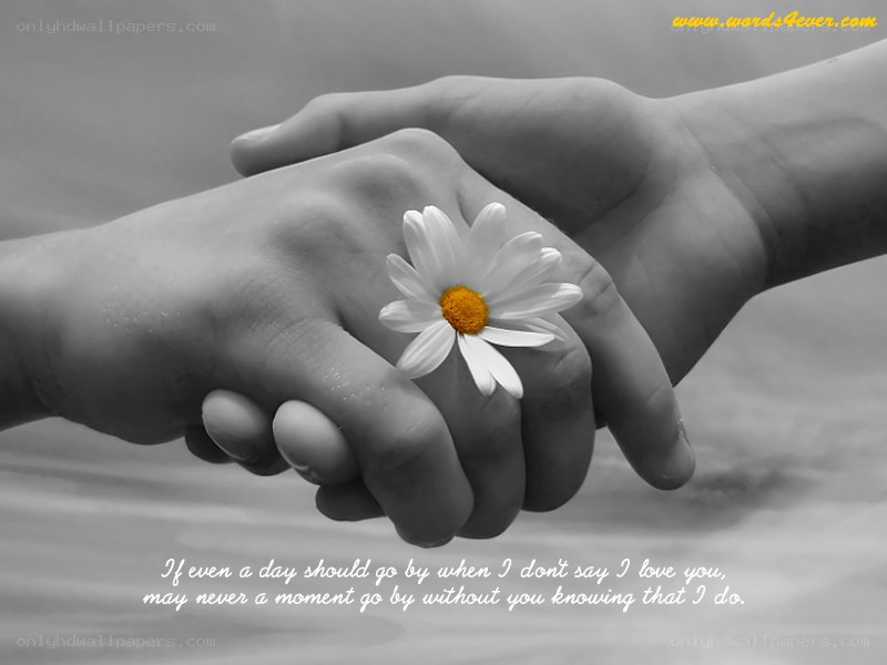 hands holding flower