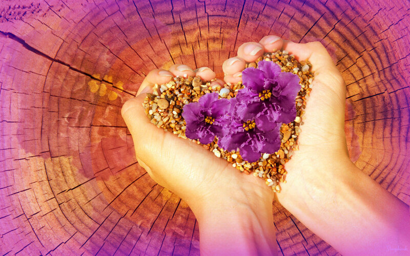 Hands Holding Flowers and Pebbles
