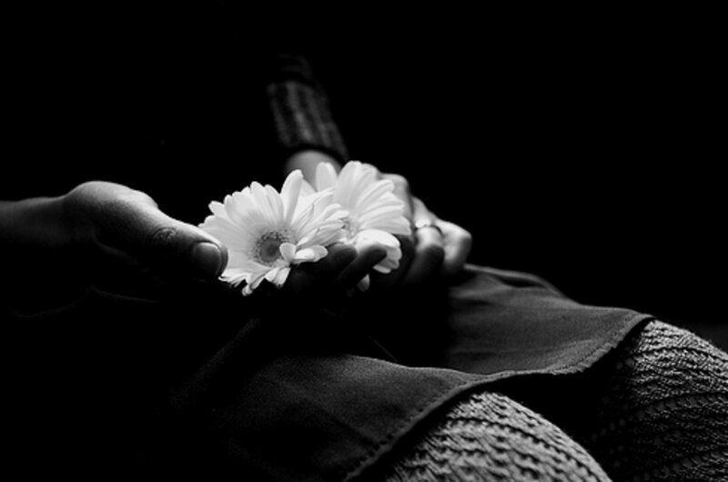 Hands Holding Flowers — Black