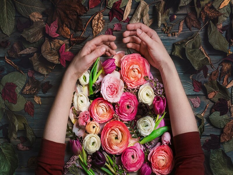 Hands Holding Flowers — Pink, Calm