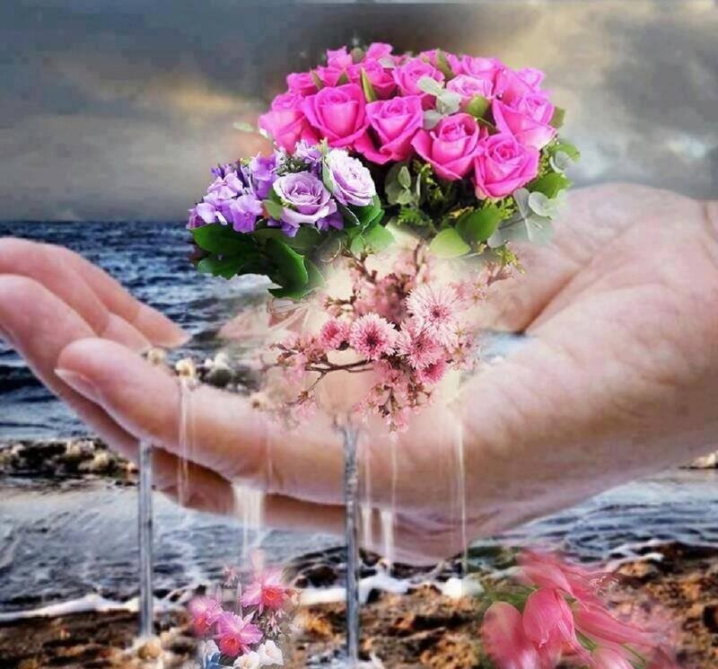 Hands Holding Flowers — Pink