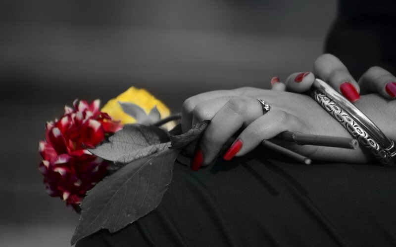 Hands Holding Flowers — Red