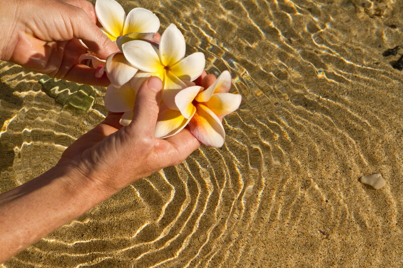Hands Holding Flowers — White