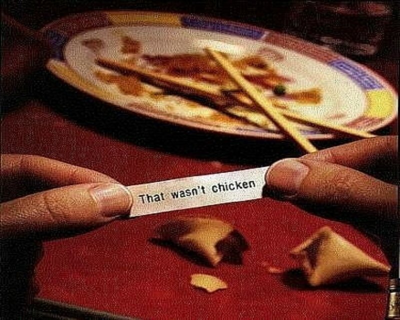 Hands Holding Fortune Cookie