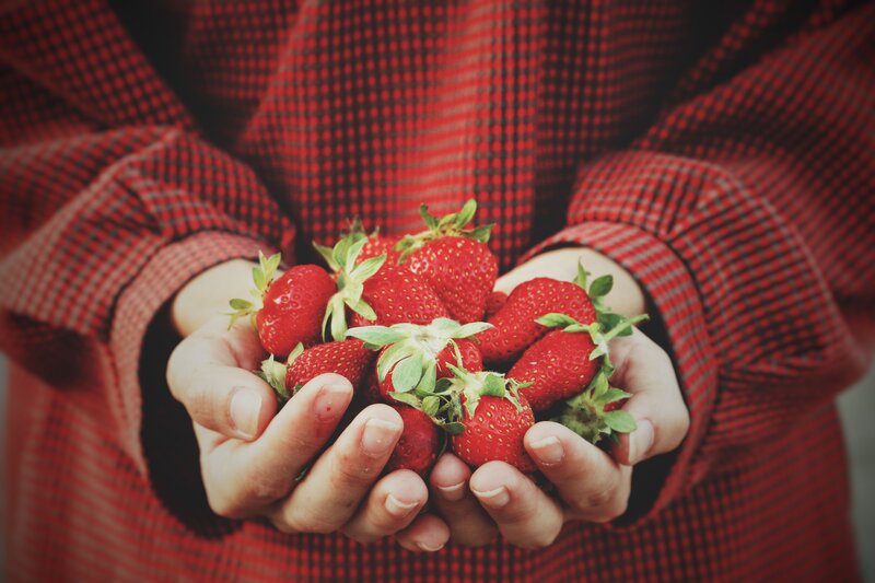 hands holding fresh strawberries
