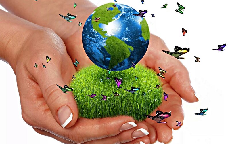 Hands Holding Globe — Green, Peaceful, Digital Art, Butterflies