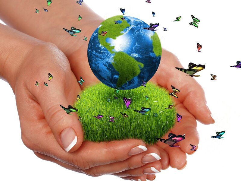 Hands Holding Globe — Green, Peaceful, Digital Art
