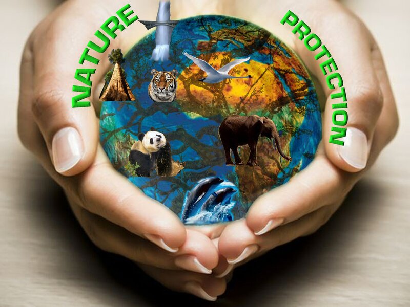 Hands Holding Globe — Green, Protective