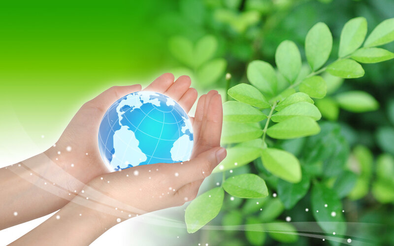 Hands Holding Globe — Green, Serene