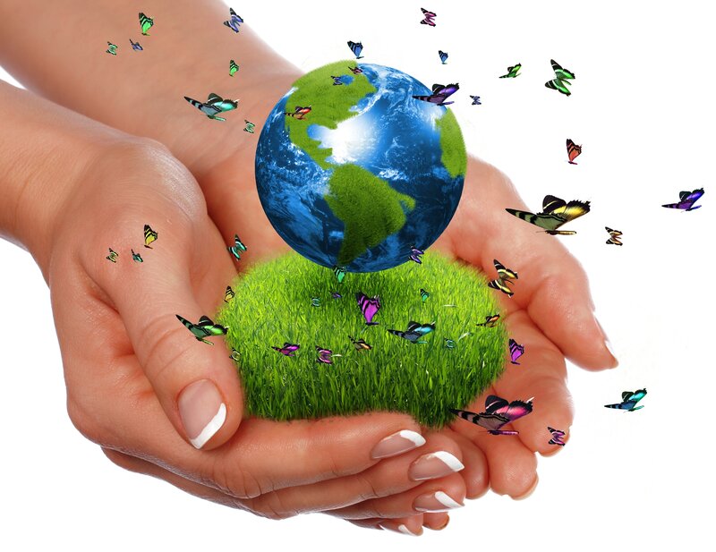 Hands Holding Globe — Green