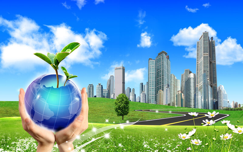 Hands Holding Globe with Plant