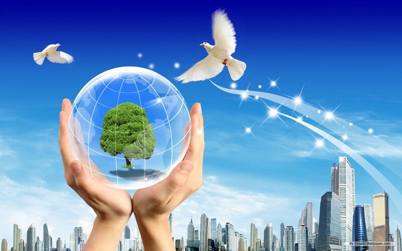 Hands Holding Globe with Tree
