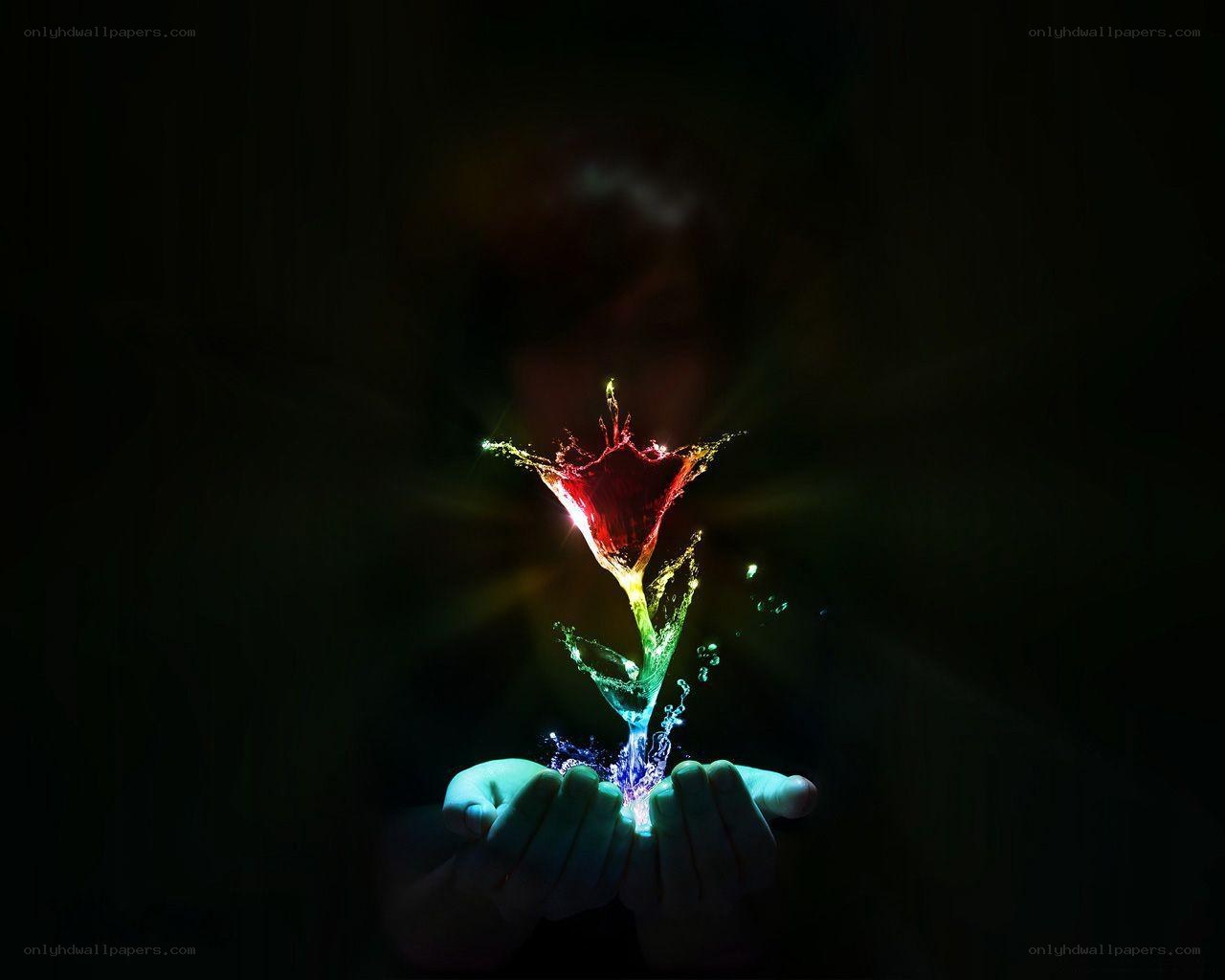 hands holding glowing flower