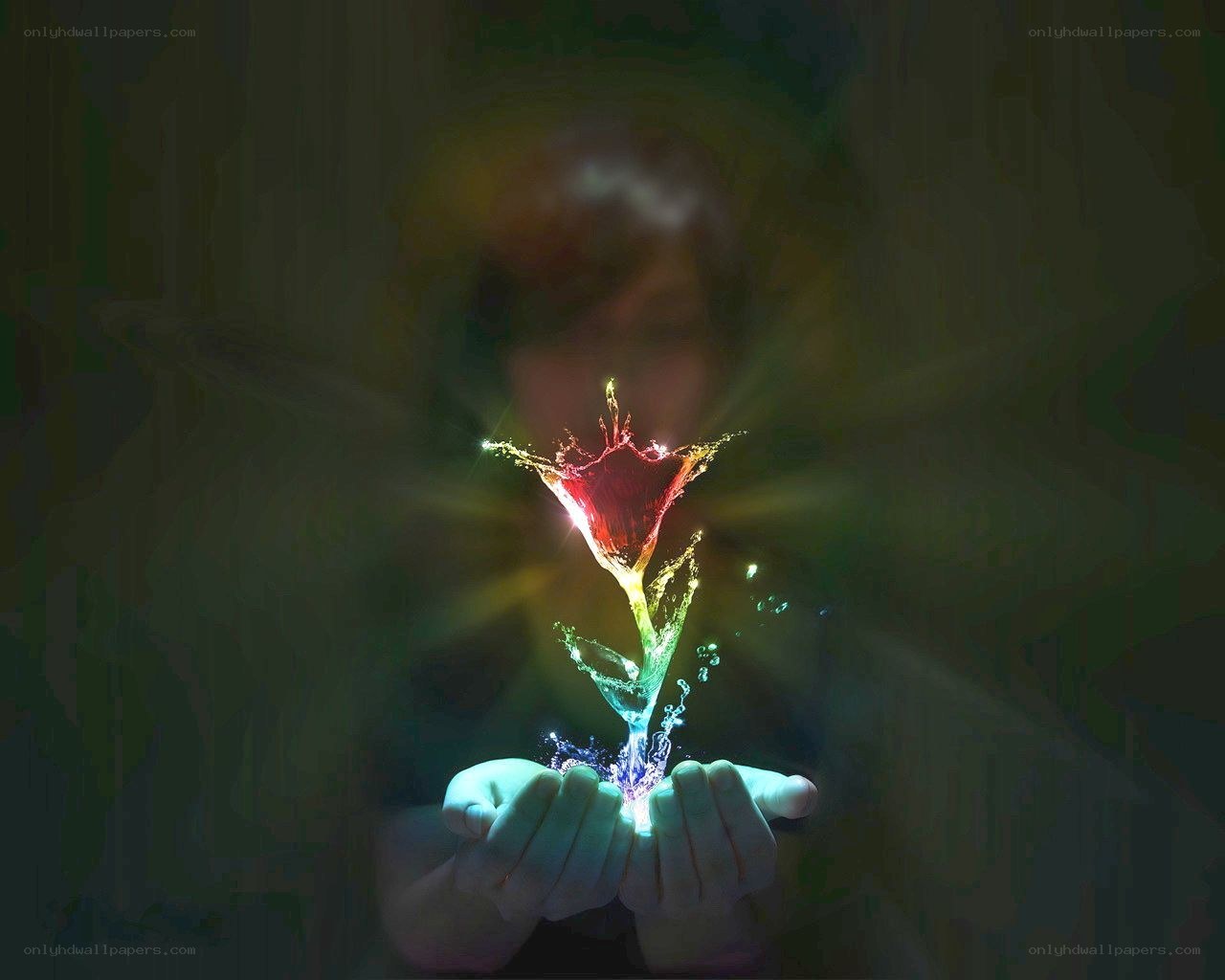 hands holding glowing flower
