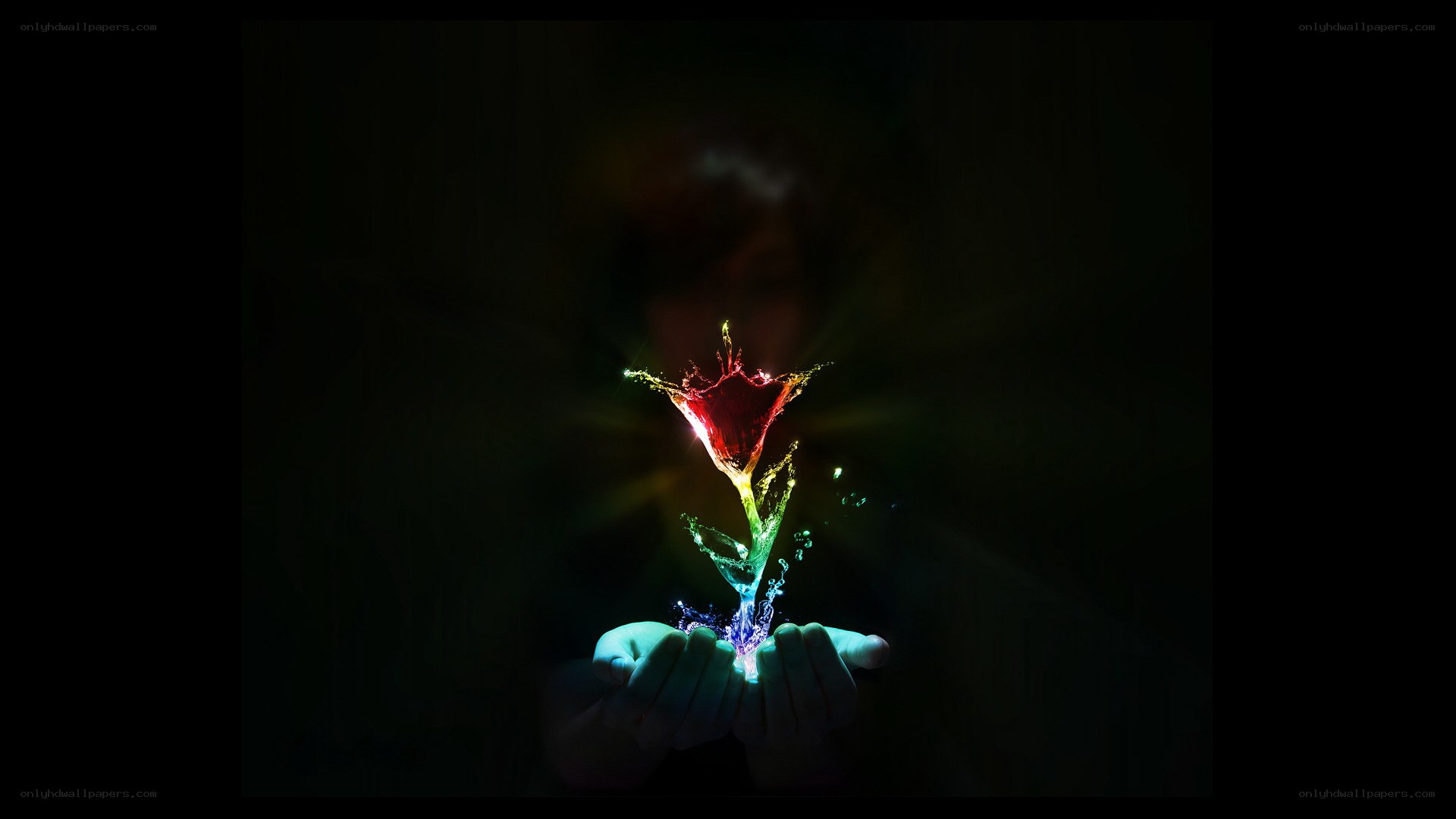 hands holding glowing flower
