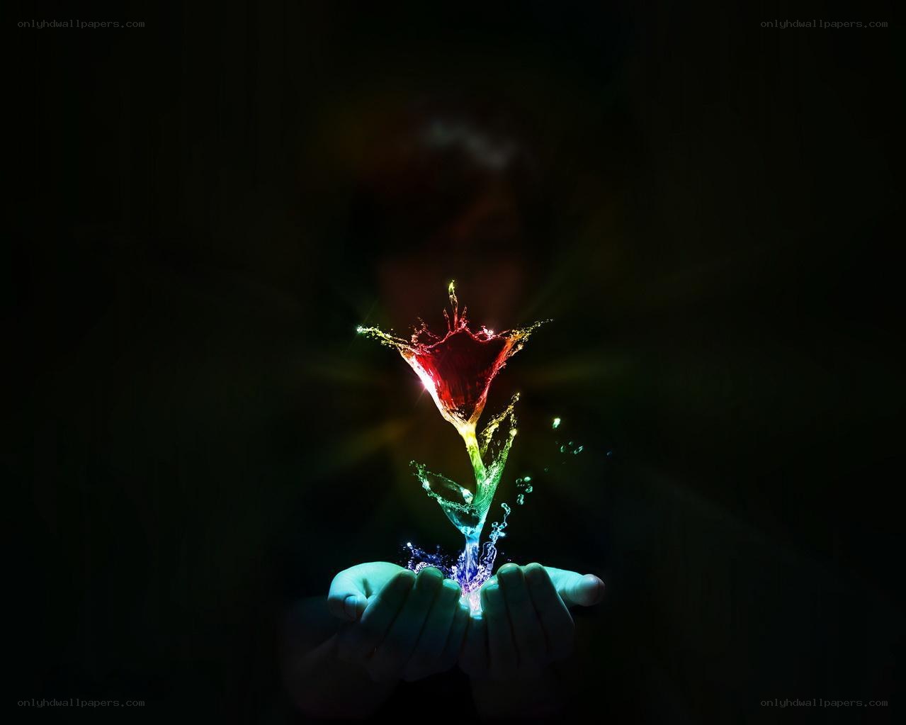 hands holding glowing flower