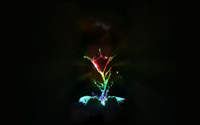 hands holding glowing flower