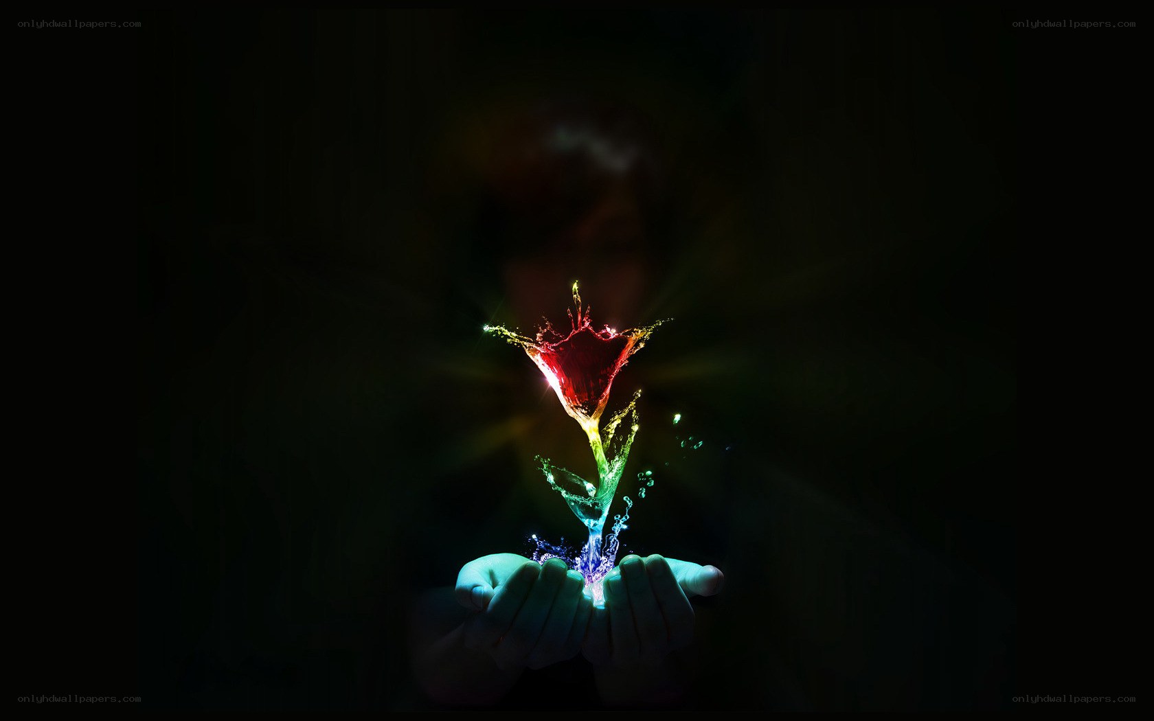hands holding glowing flower