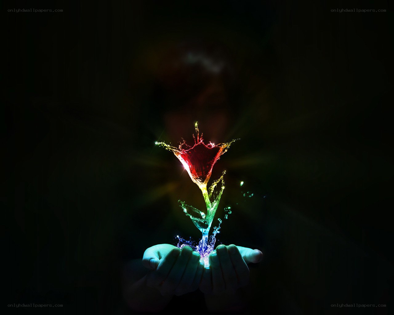 hands holding glowing flower