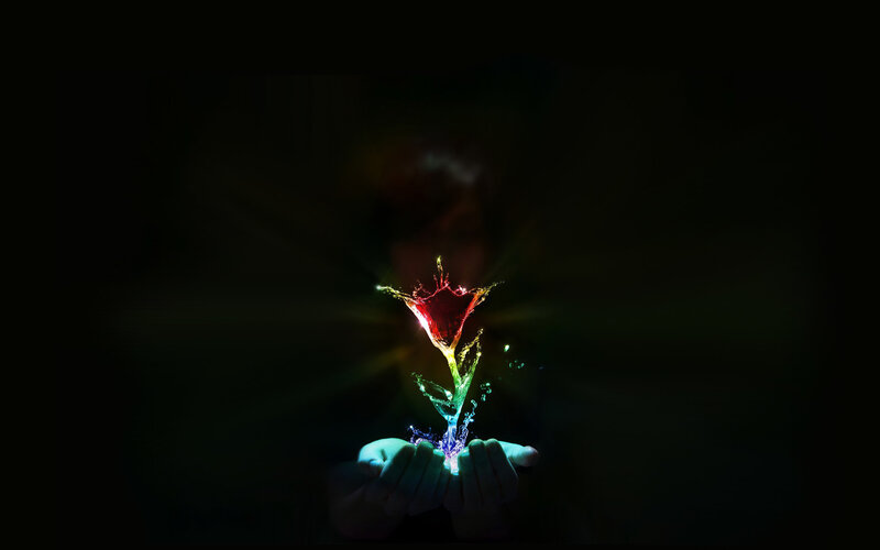 hands holding glowing flower