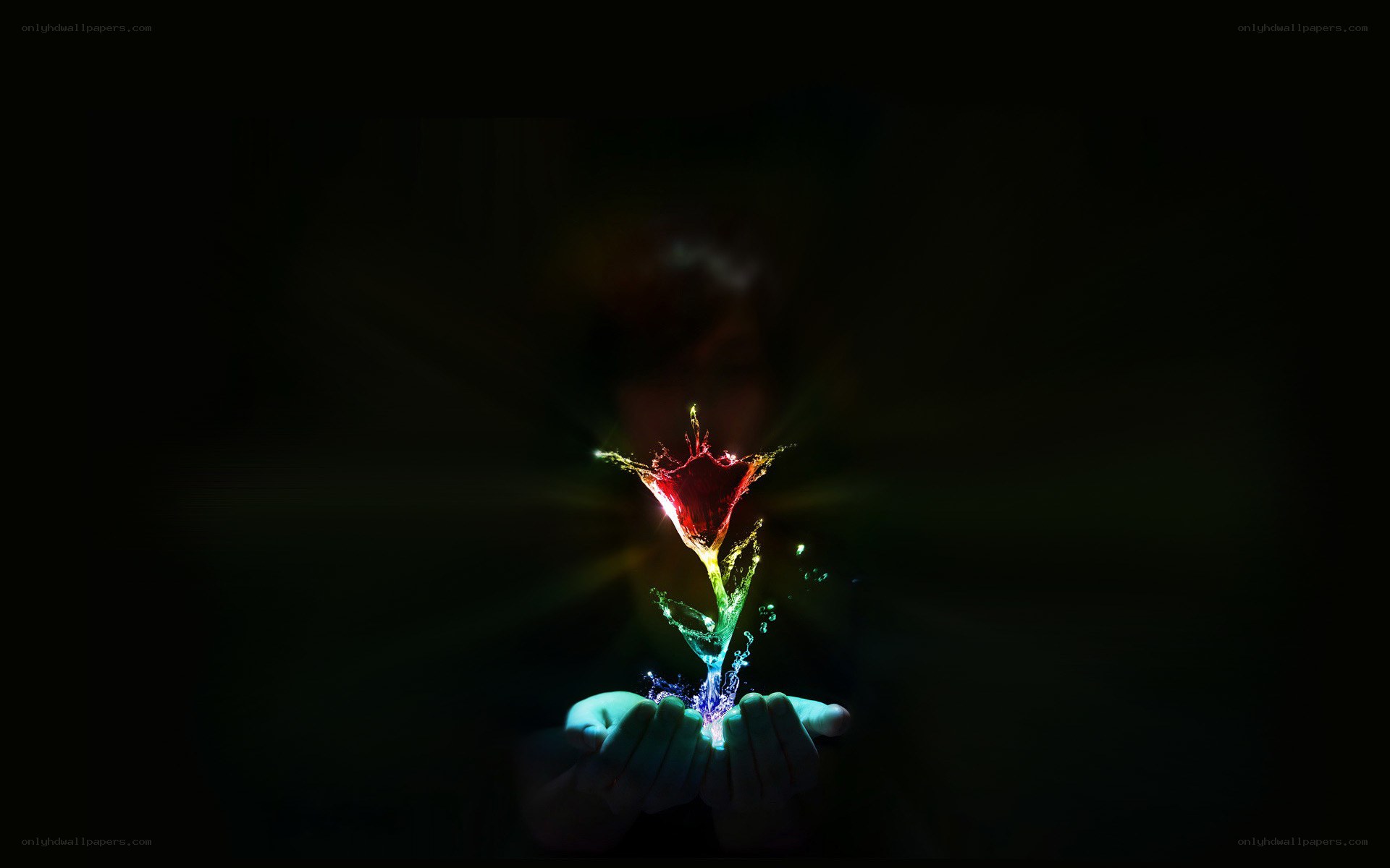 hands holding glowing flower