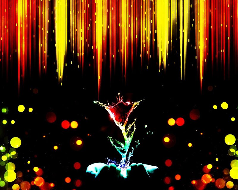 hands holding glowing flower
