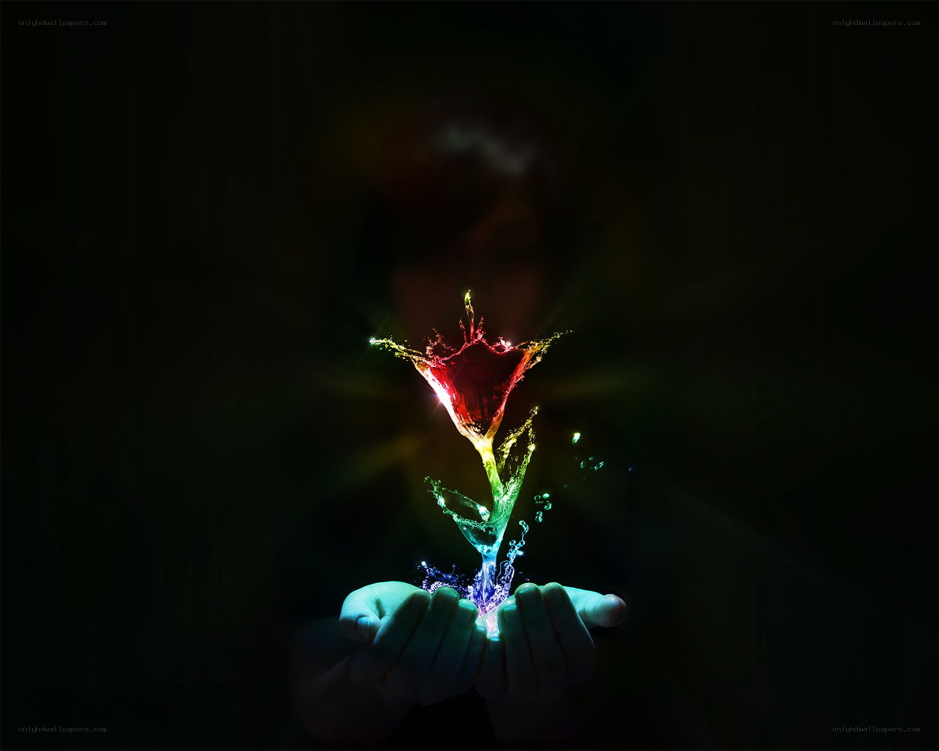 hands holding glowing flower