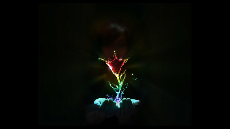 Hands Holding Glowing Flower — Black, Dramatic
