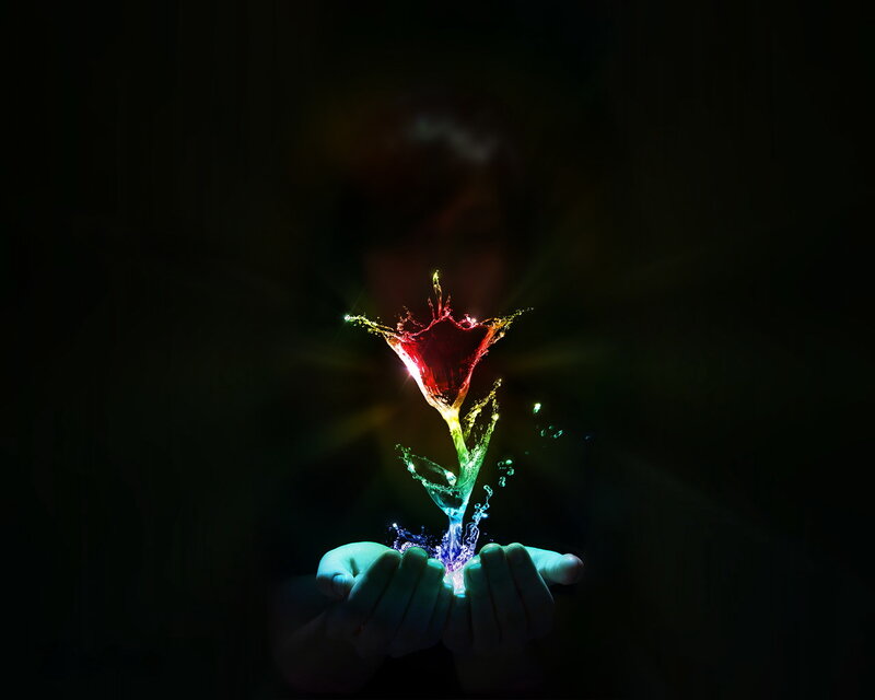Hands Holding Glowing Flower — Black