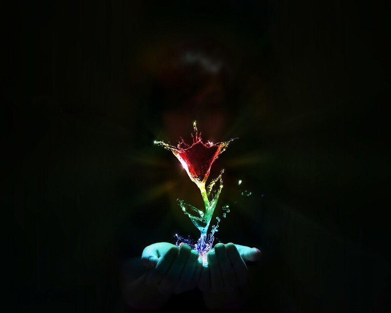 Hands Holding Glowing Flower — Light