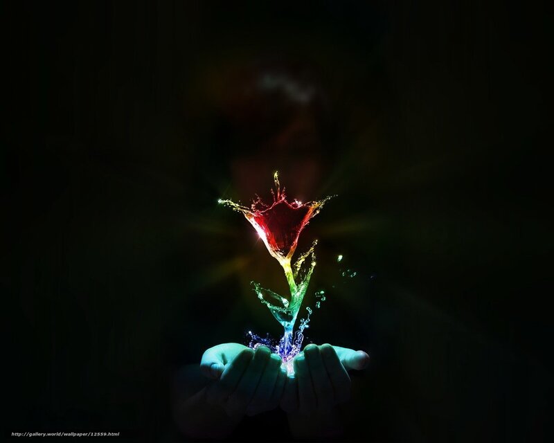 hands holding glowing flower