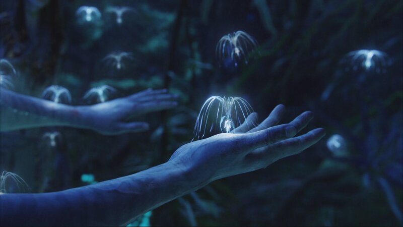 hands holding glowing jellyfish