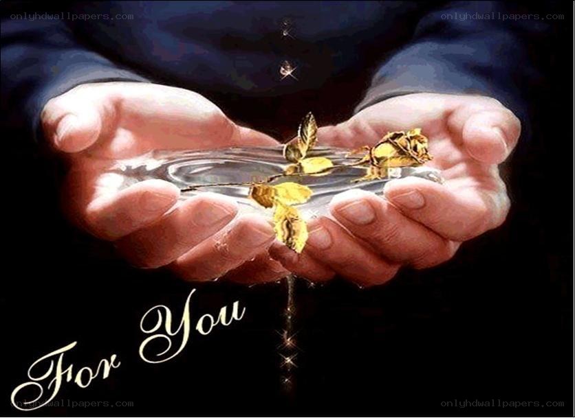 hands holding golden rose