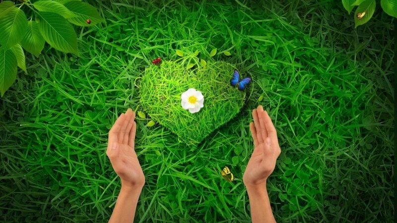 Hands Holding Grass Heart — Green