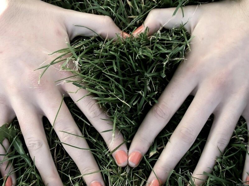 Hands Holding Grass