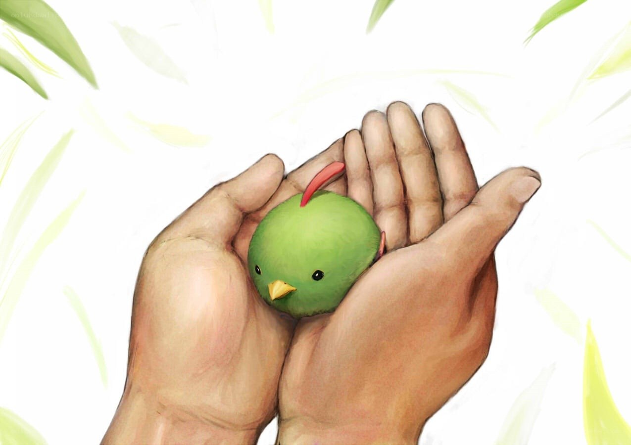 hands holding green bird