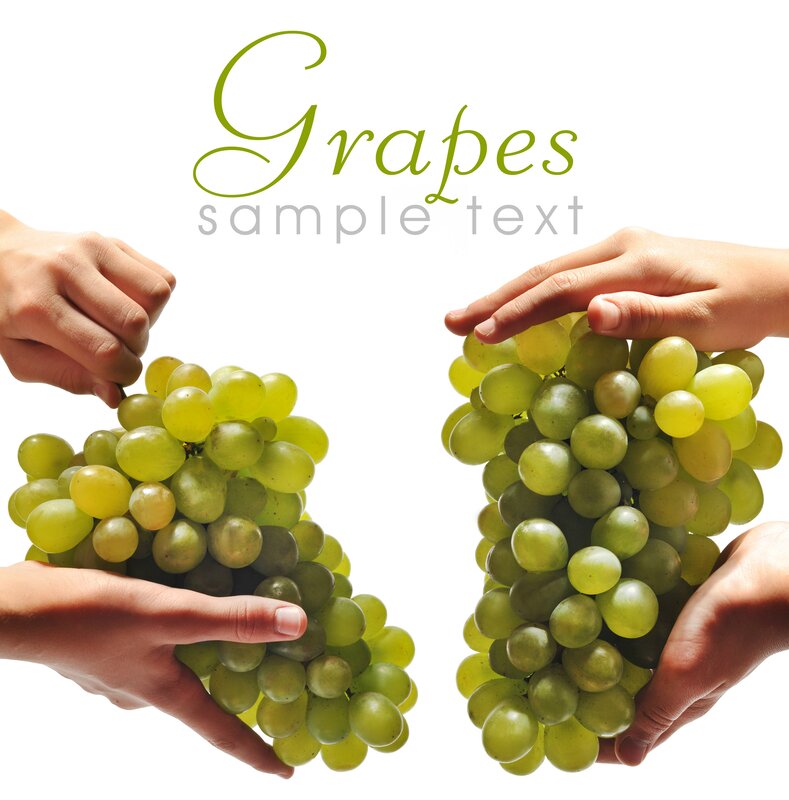 Hands holding green grapes