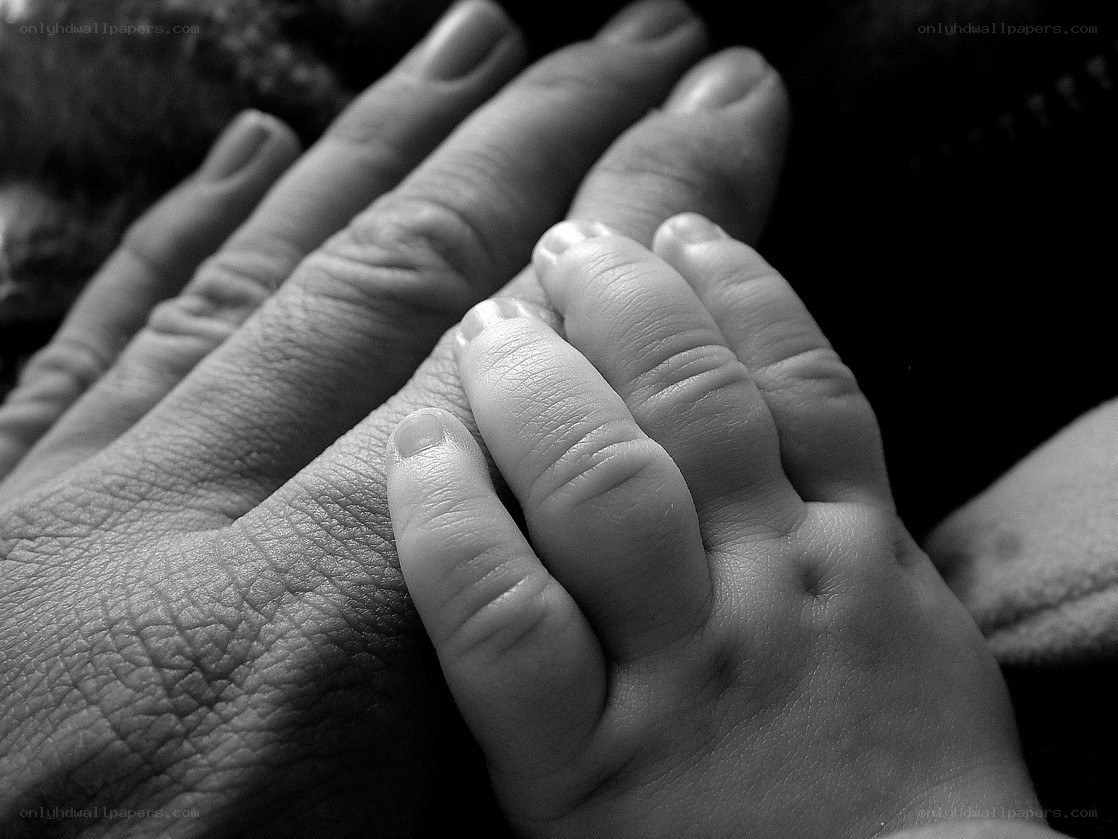 hands holding hands