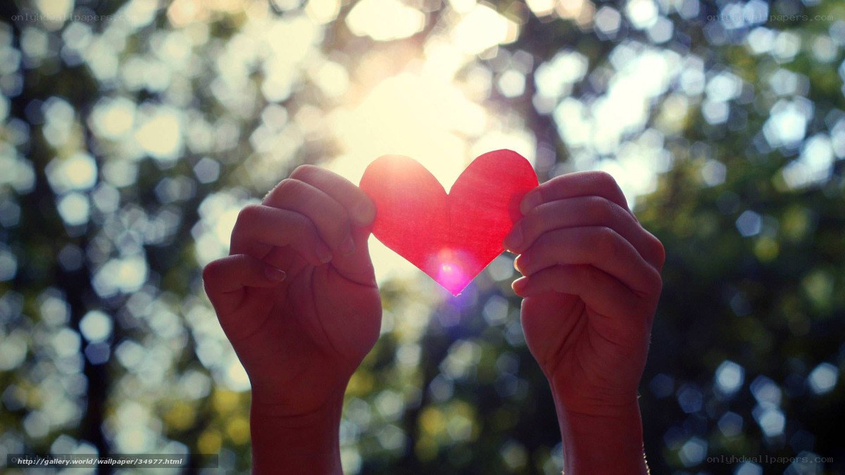 Hands holding heart against sun