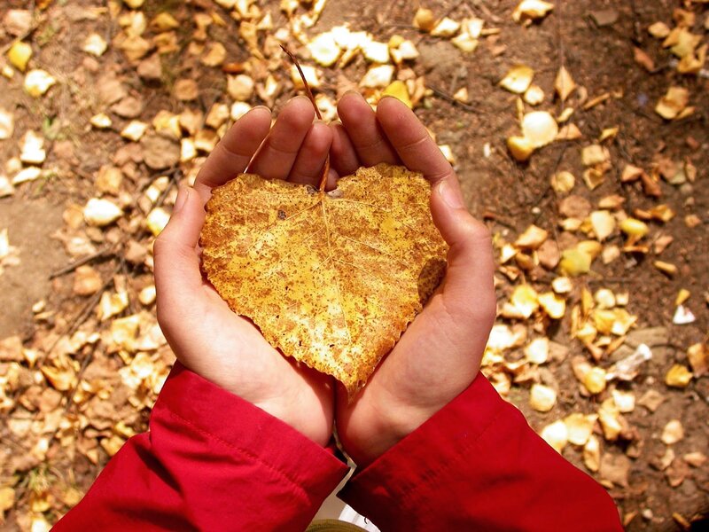 Hands Holding Heart-shaped Leaf