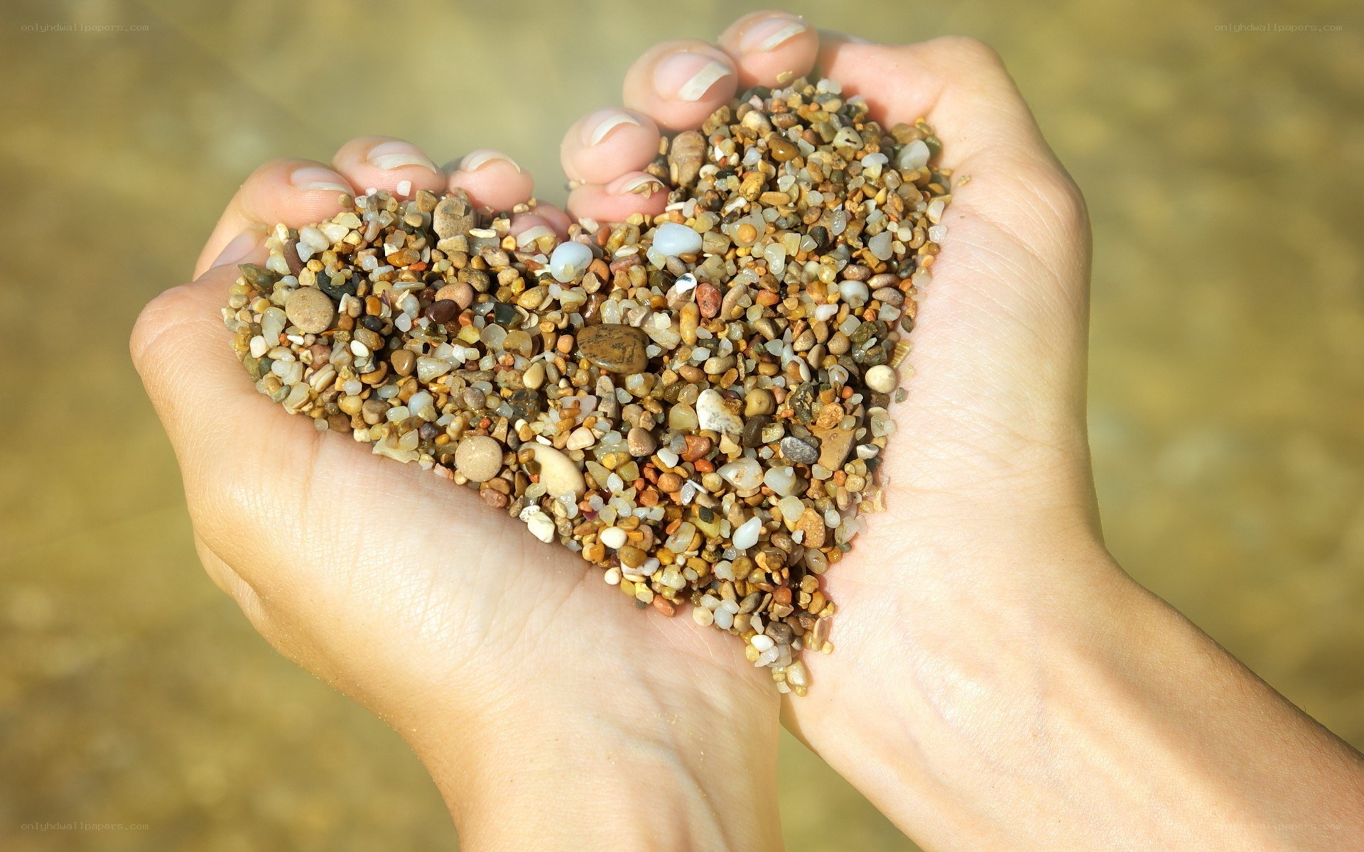 hands holding heart-shaped pebbles