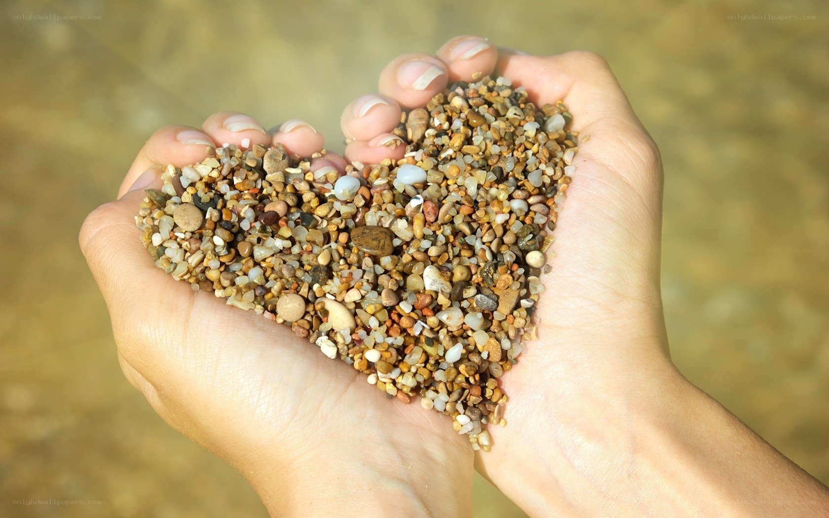 hands holding heart-shaped pebbles
