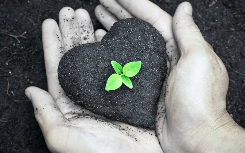 Hands Holding Heart-shaped Soil