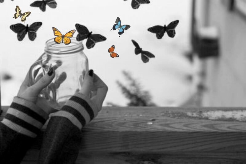 Hands Holding Jar with Butterflies